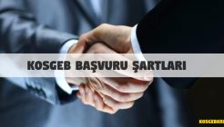 KOSGEB Başvuru Şartları Nelerdir?