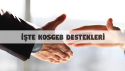 Kosgeb Destekleri Nelerdir ve Hangi Sektörler Desteklenir?