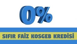 Sıfır Faiz Kosgeb Kredisi