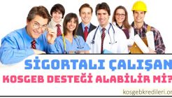 Sigortalı (SGK)  Ya Da Memur Çalışan Kosgeb’e Başvuru Yapabilir Mi?